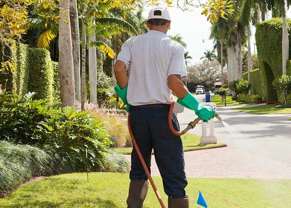 About Cantril IA Pest Control